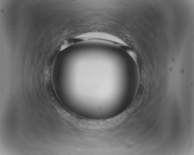 X0000085050037200703191310
