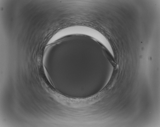 X0000085050039200703191310
