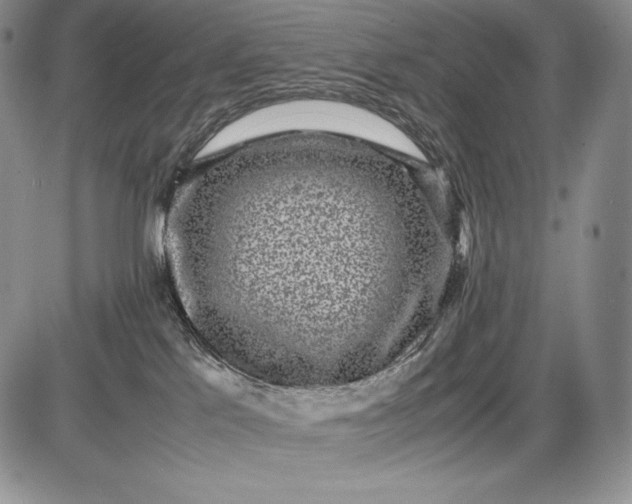 X0000085050041200703191310