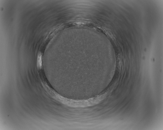 X0000085050042200703191310