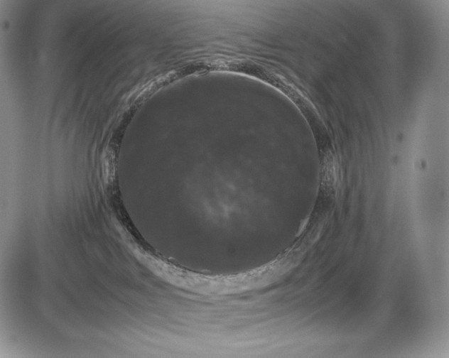 X0000085050043200703191310