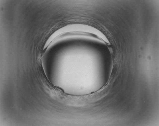 X0000085050045200703191310