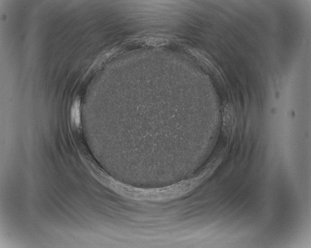 X0000085050046200703191310