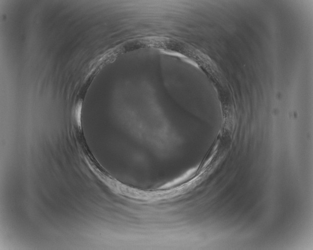 X0000085050047200703191310