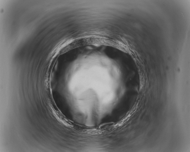 X0000085050050200703191309