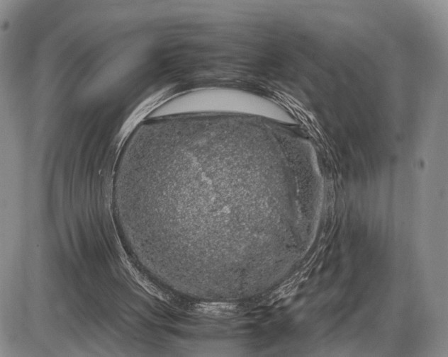 X0000085050051200703191309