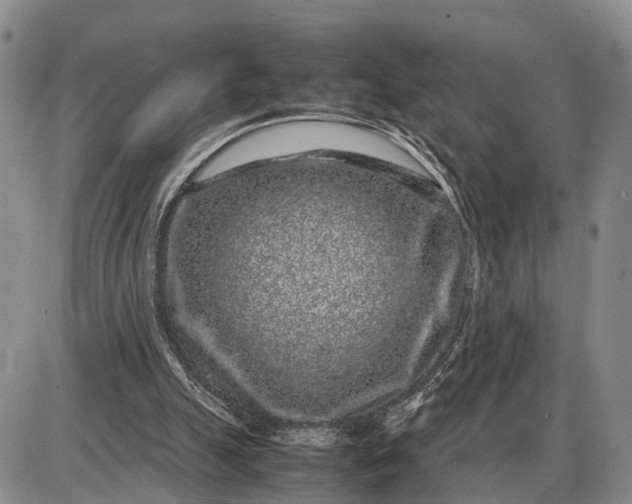 X0000085050055200703191309