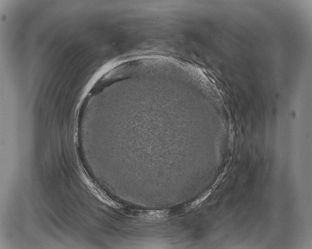 X0000085050056200703191309