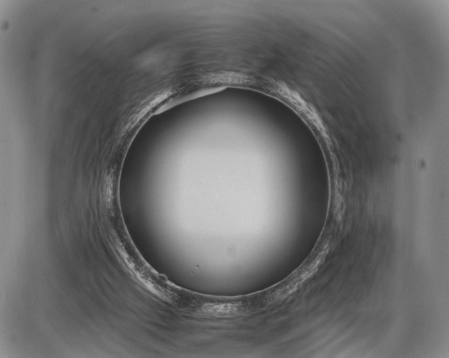 X0000085050057200703191309