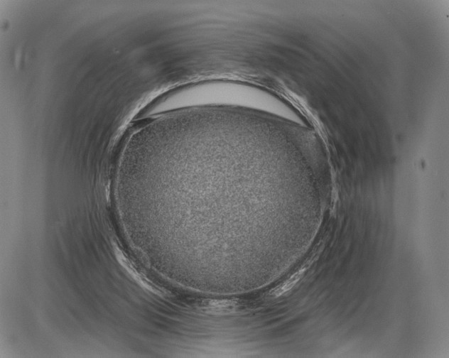 X0000085050060200703191309