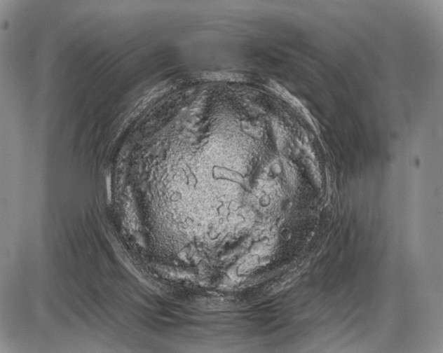X0000085050061200703191309