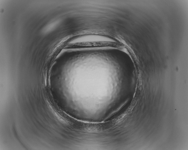X0000085050062200703191309
