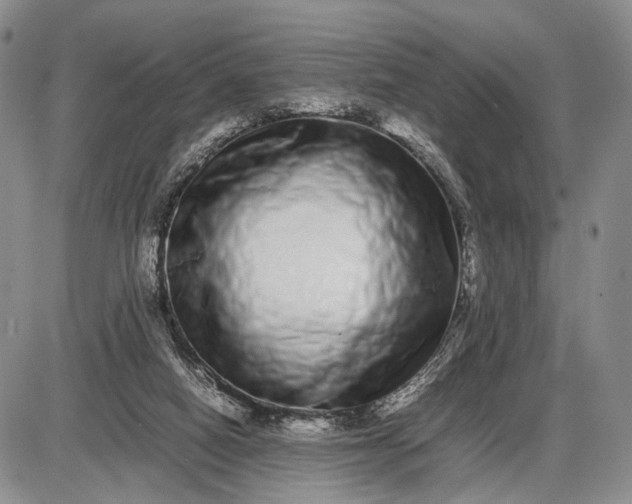 X0000085050066200703191309
