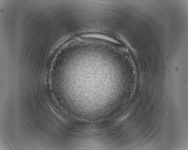 X0000085050068200703191309