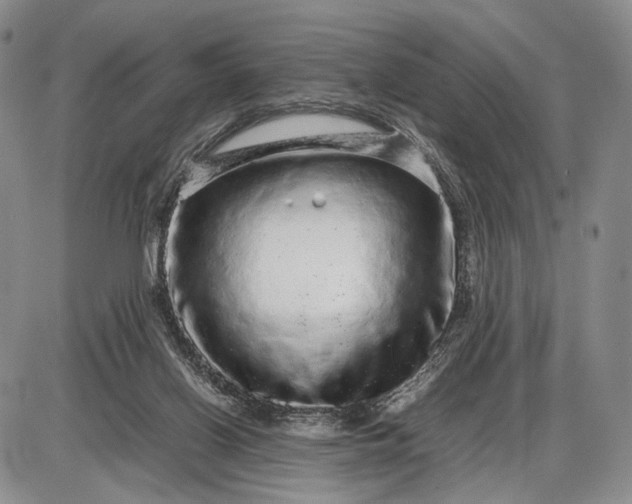 X0000085050070200703191309