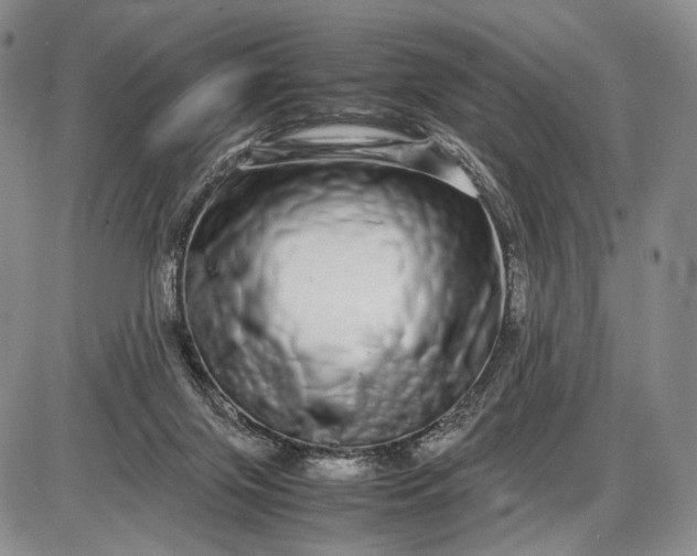 X0000085050071200703191310