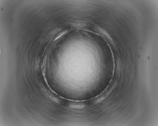 X0000085050073200703191310