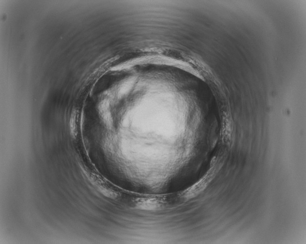 X0000085050074200703191310