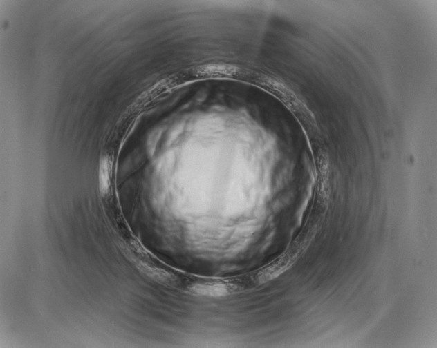 X0000085050075200703191310