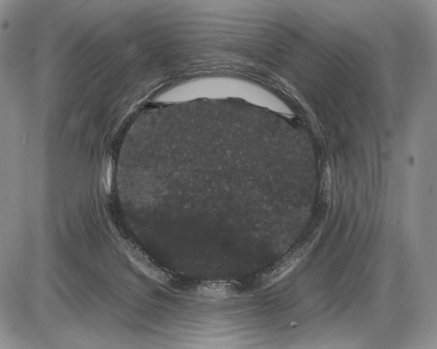 X0000085050076200703191310