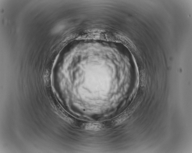 X0000085050077200703191310