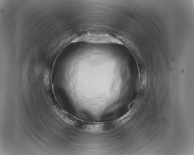 X0000085050078200703191310