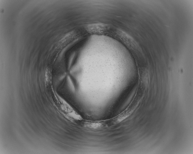 X0000085050081200703191310