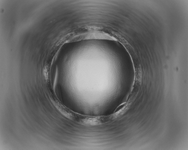 X0000085050086200703191310