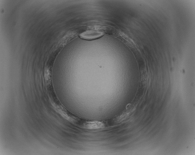 X0000085050087200703191310
