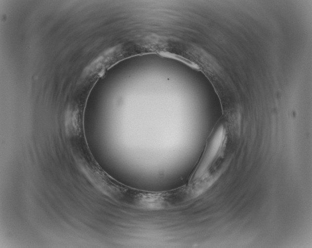 X0000085050088200703191310