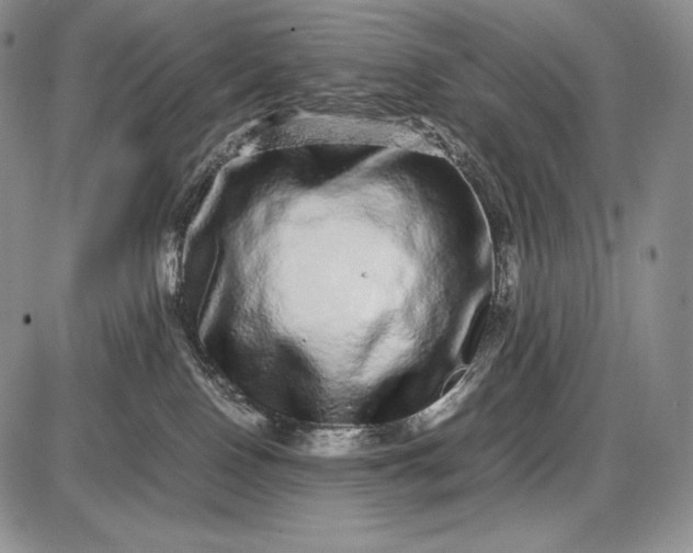 X0000085050090200703191310