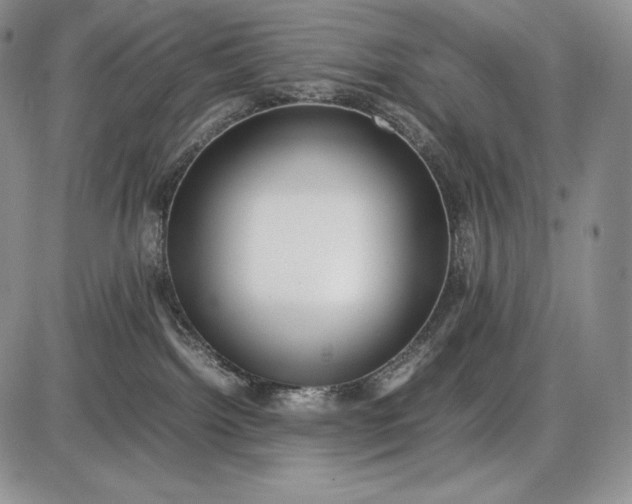 X0000085050092200703191310