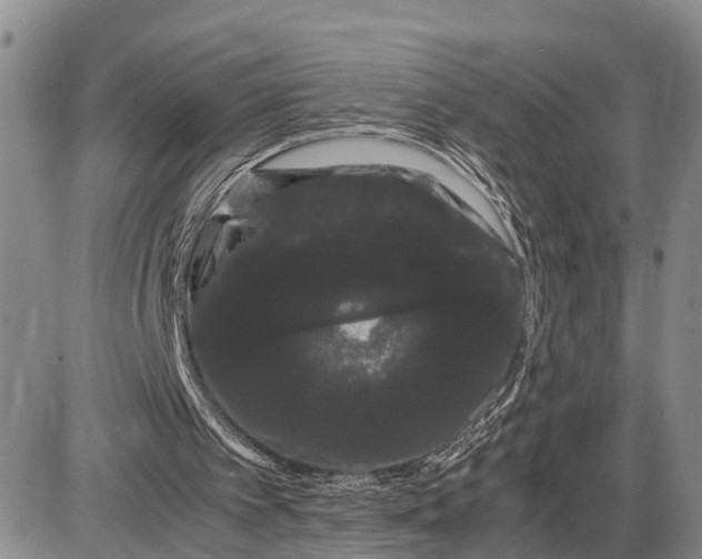 X0000085050097200703191309