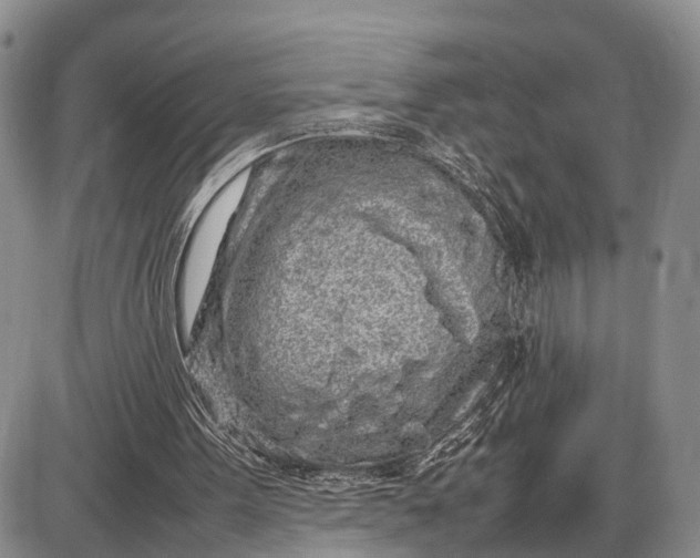 X0000085050099200703191309