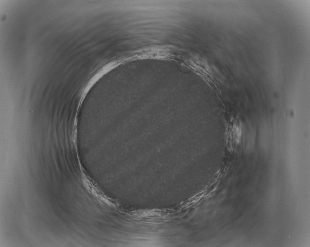 X0000085050100200703191309
