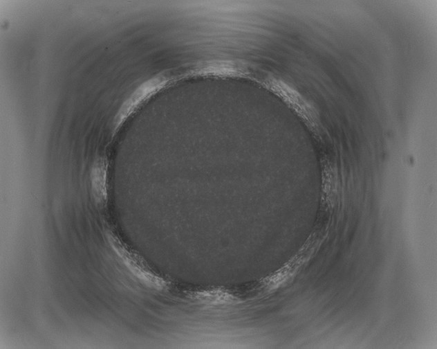X0000085050112200703191309
