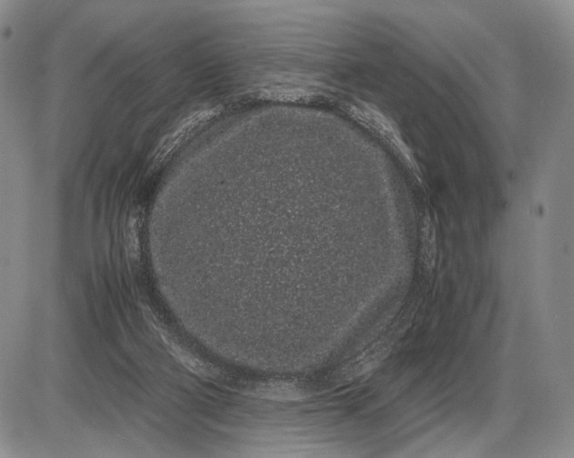 X0000085050114200703191309