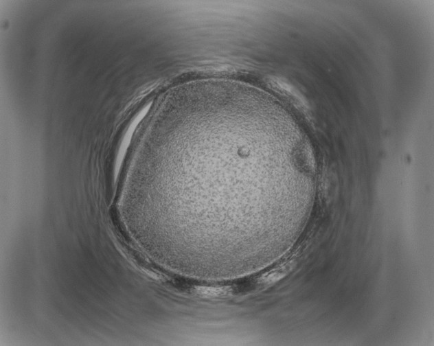 X0000085050115200703191309