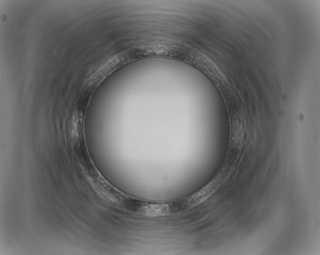 X0000085050126200703191309