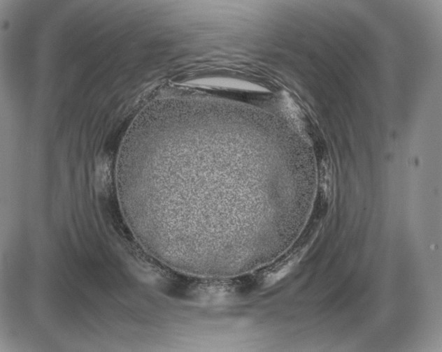 X0000085050127200703191309