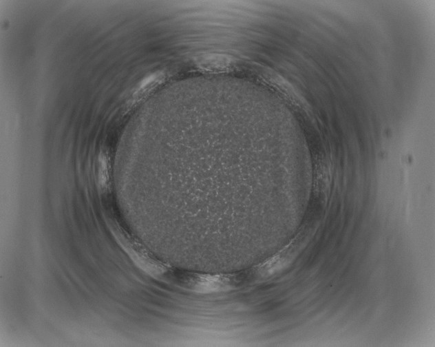 X0000085050130200703191309