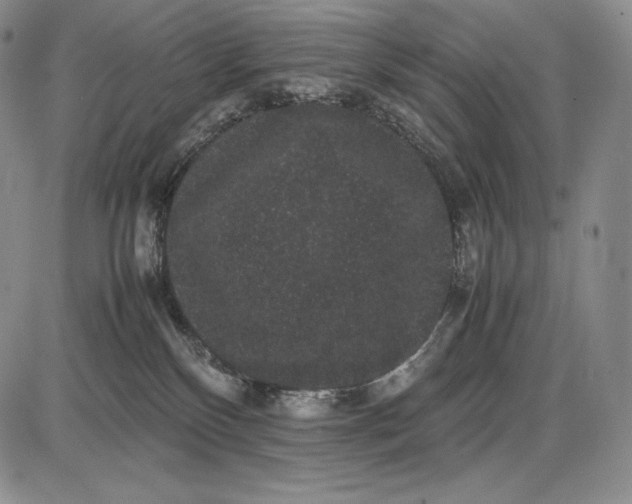 X0000085050136200703191308