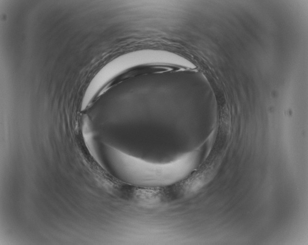 X0000085050139200703191308