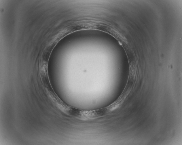 X0000085050141200703191308