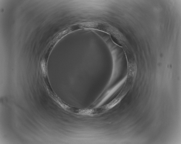 X0000085050143200703191308