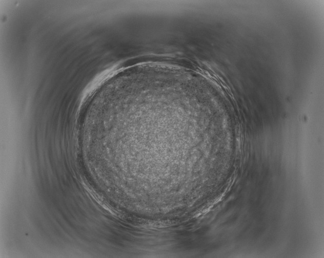 X0000085050149200703191308