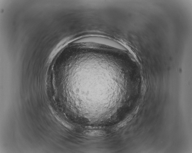 X0000085050151200703191308