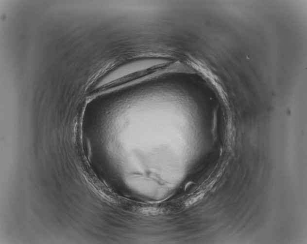 X0000085050153200703191308