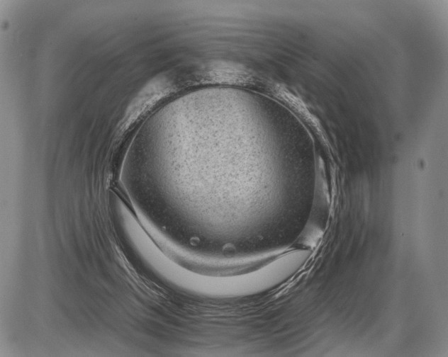 X0000085050154200703191308