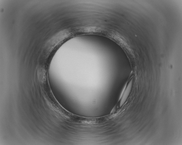 X0000085050164200703191308